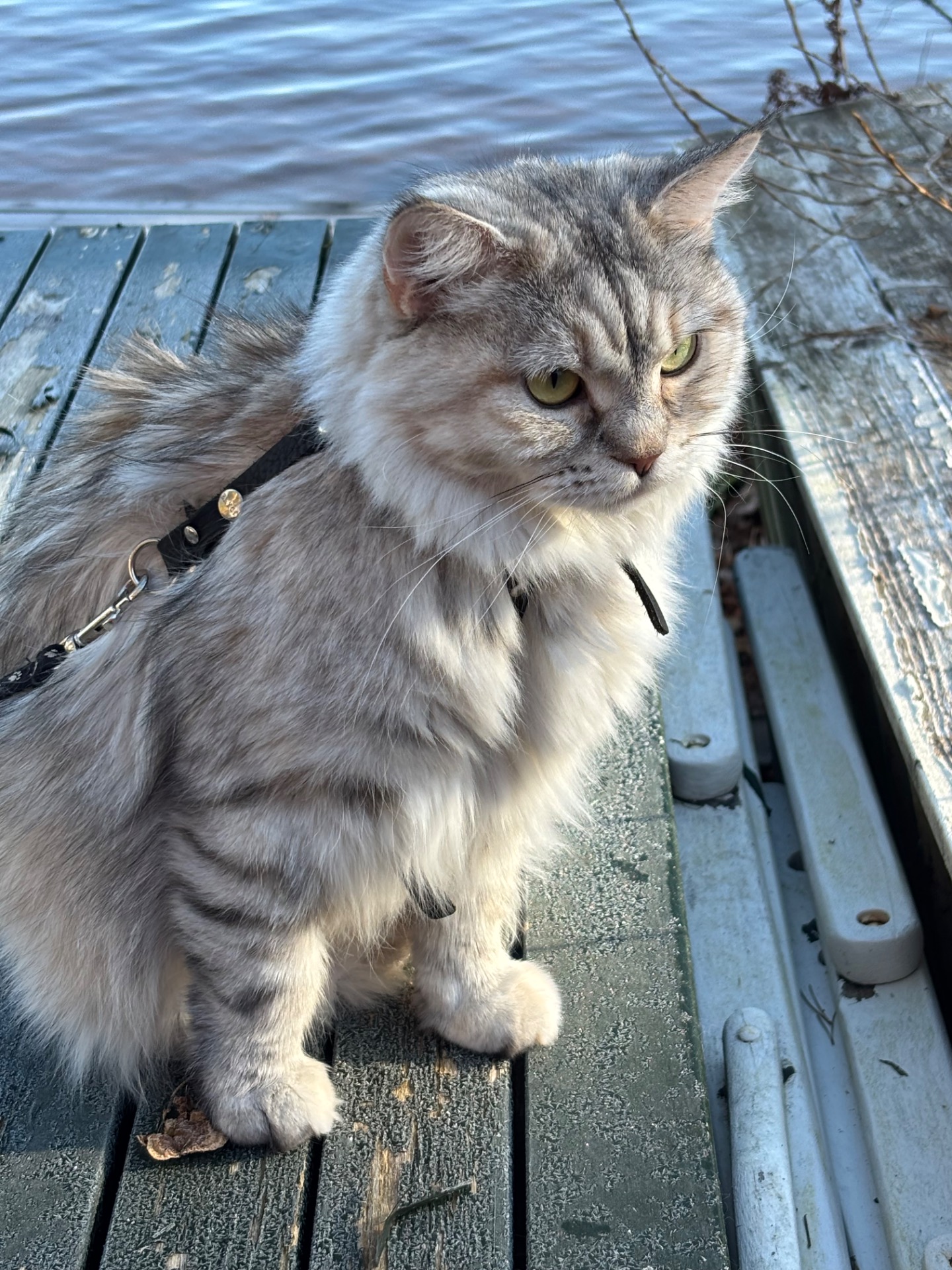 Loviisa ulkoilemassa